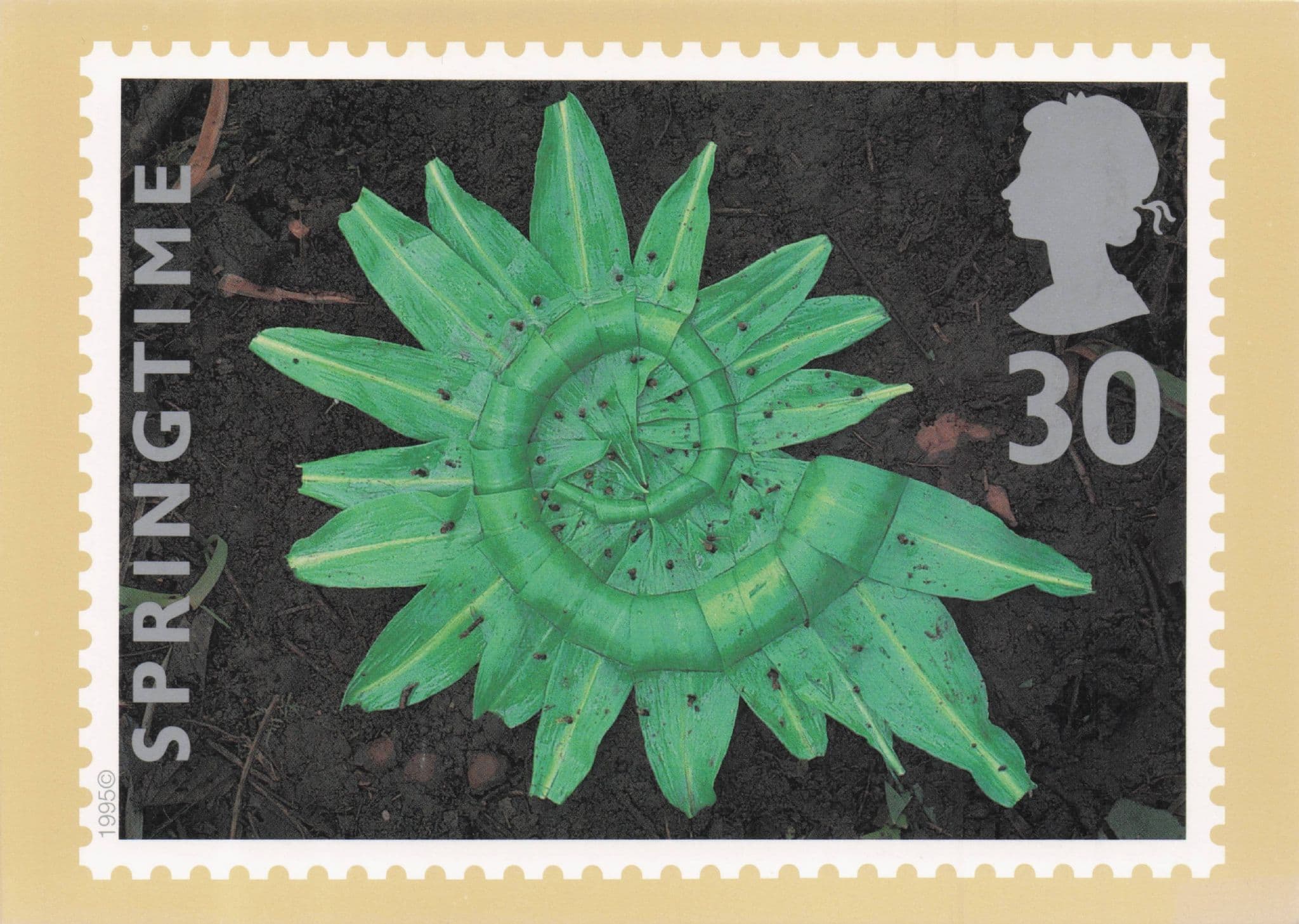 Garlic Leaves & Thorns Amazing Floral Display Royal Mail Stamp Postcard