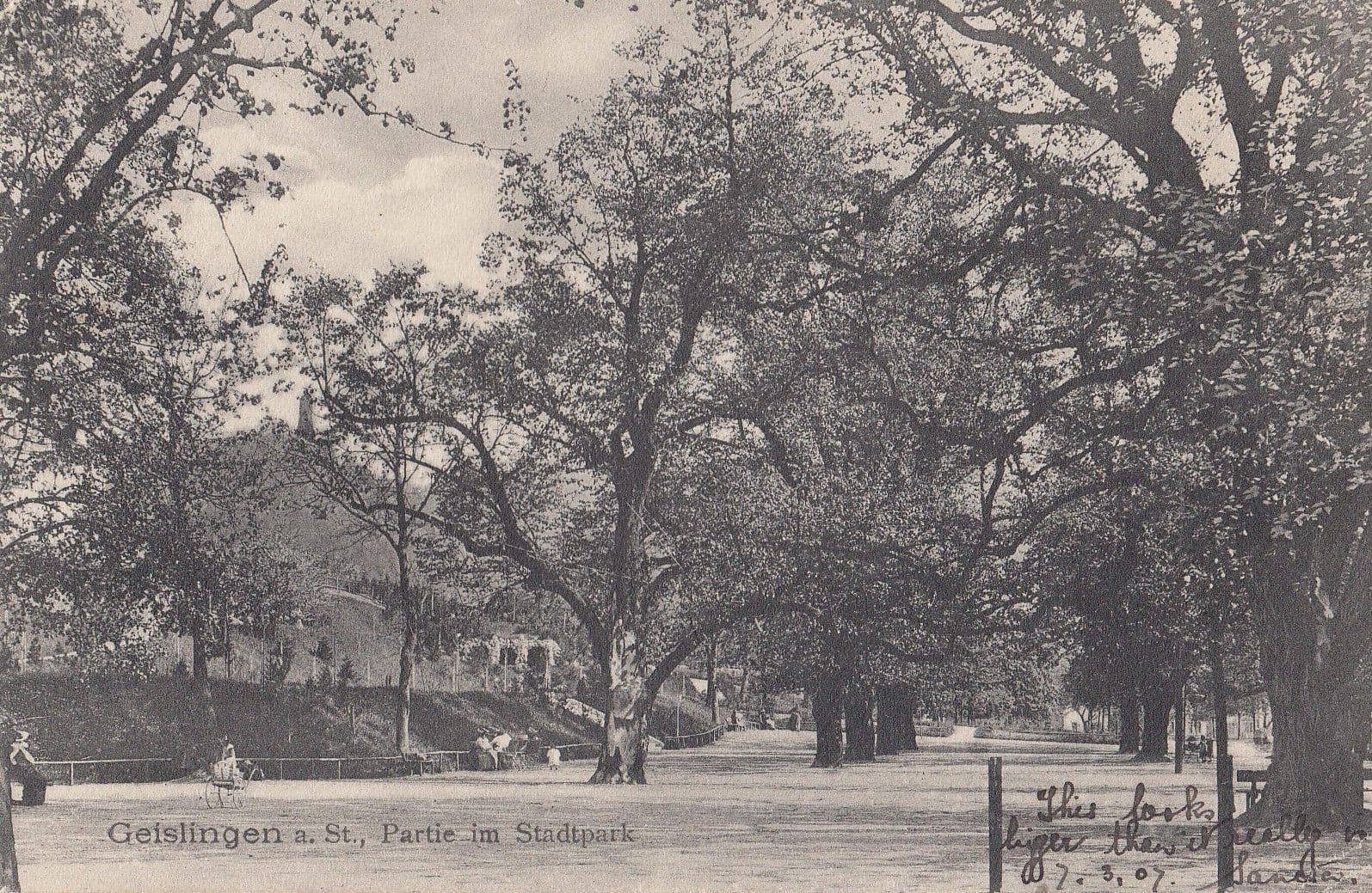 Geislingen Partie Im Studpark 1907 German Postcard