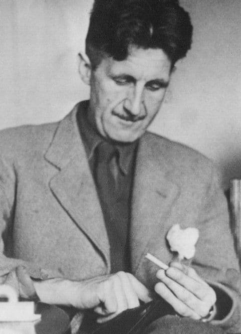 George Orwell Animal Farm 1984 Book Author Stunning Portrait Photo Postcard