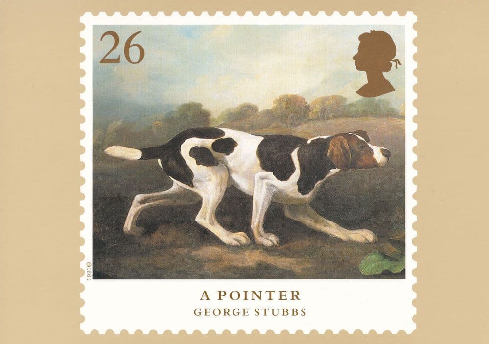 George Stubbs A Pointer Dogs Rare Dog Painting Postcard