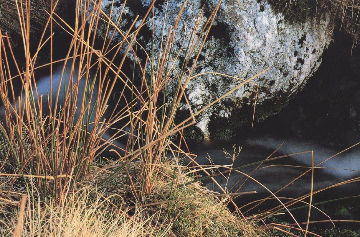 Ger Cadair Idris Welsh Local Nature Photographer Rare Postcard