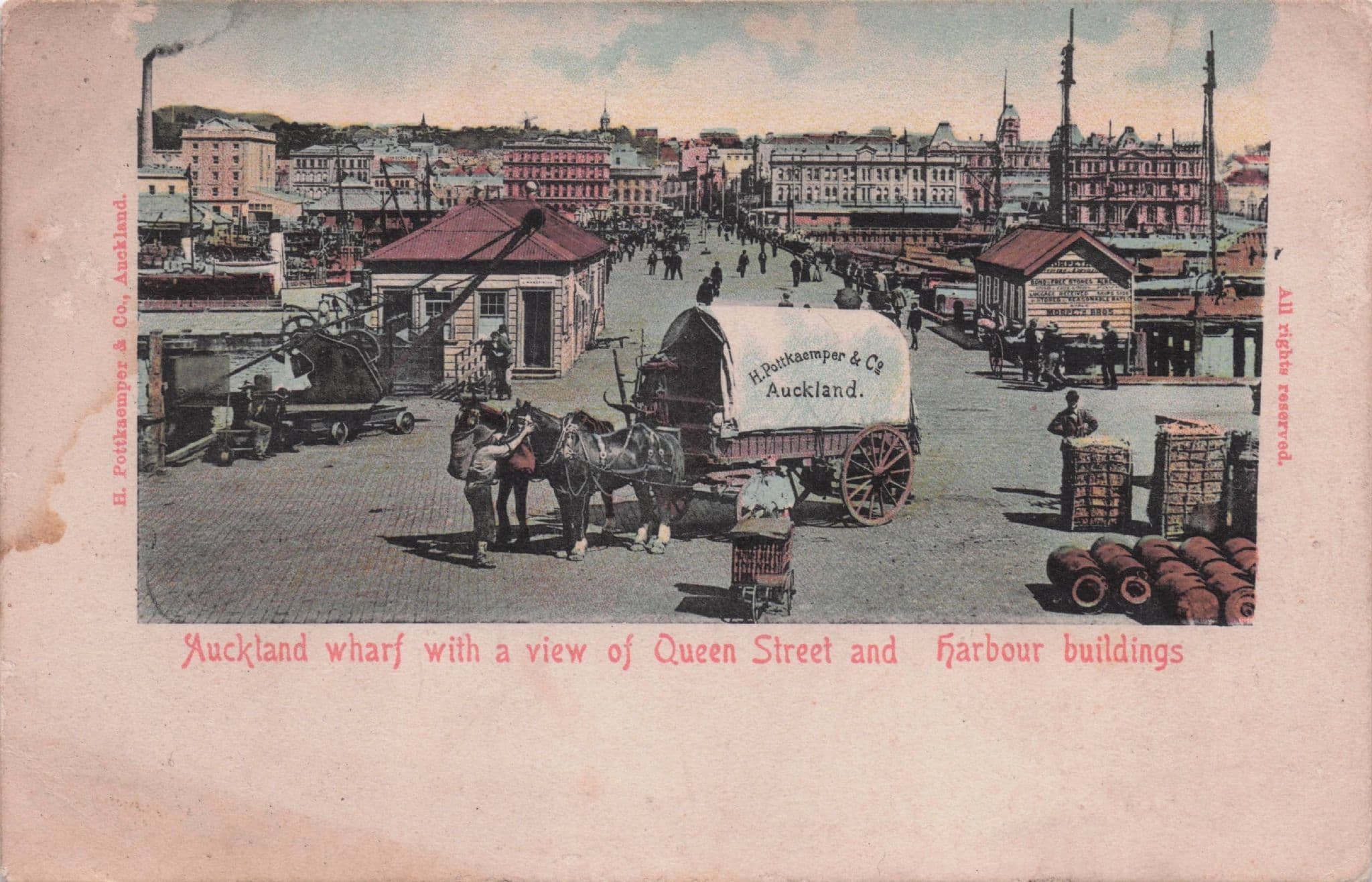 German Advertising Cart at Auckland Wharf New Zealand Old Postcard