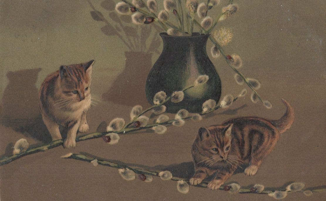 German Cats With Daisy Chain Made Of Thistles Old Cat Postcard