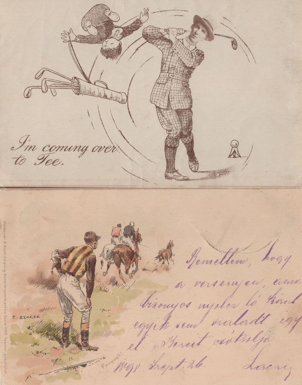 German Horse Jockey Race Disaster Comic Old Postcard & More