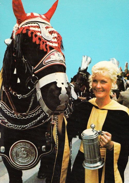 German Horse Race Racing Winning Trainer After Race + Cup Big Race Postcard