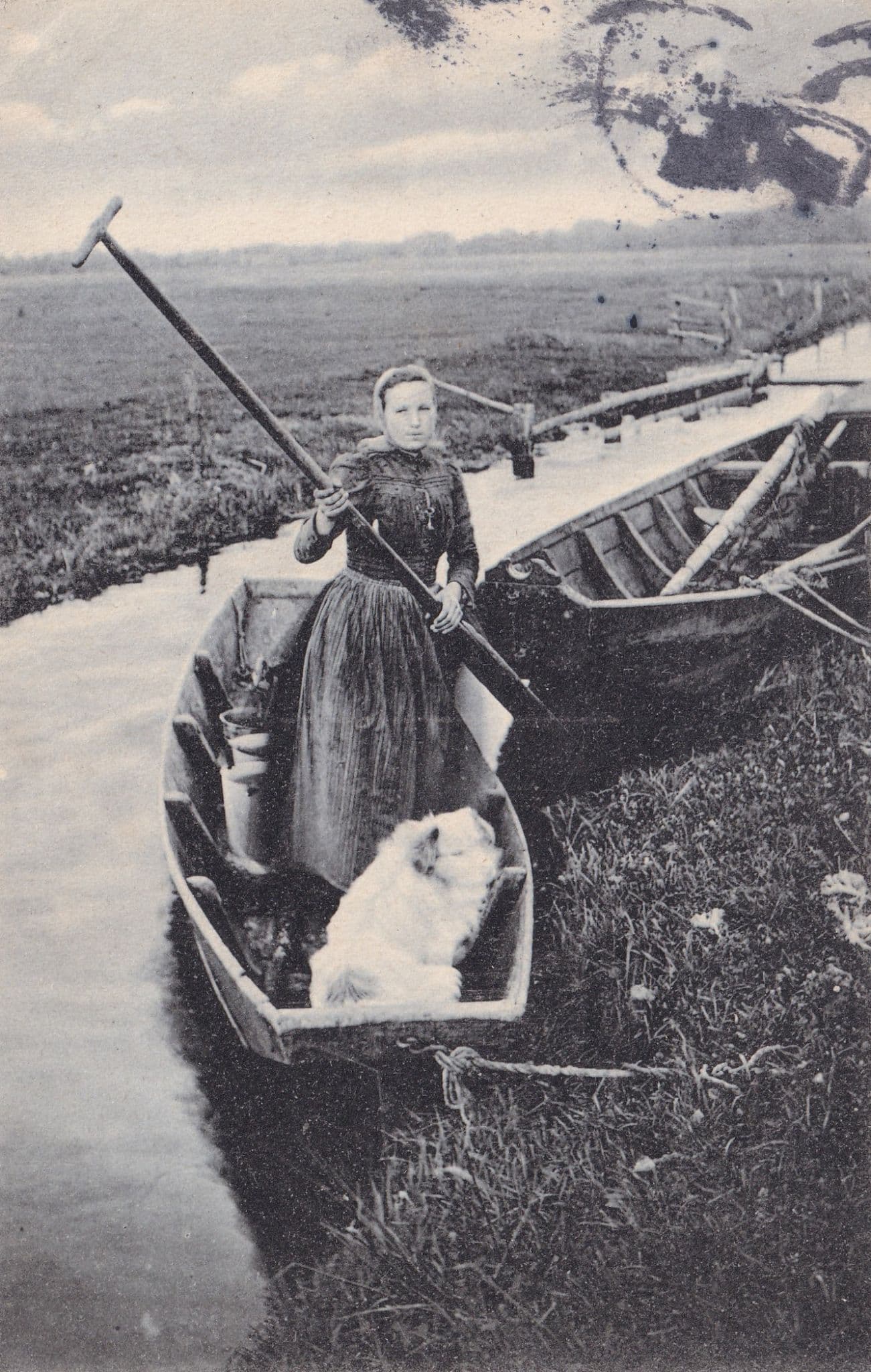 German Lady Rowing Boat With Dog Antique 1905 Postcard