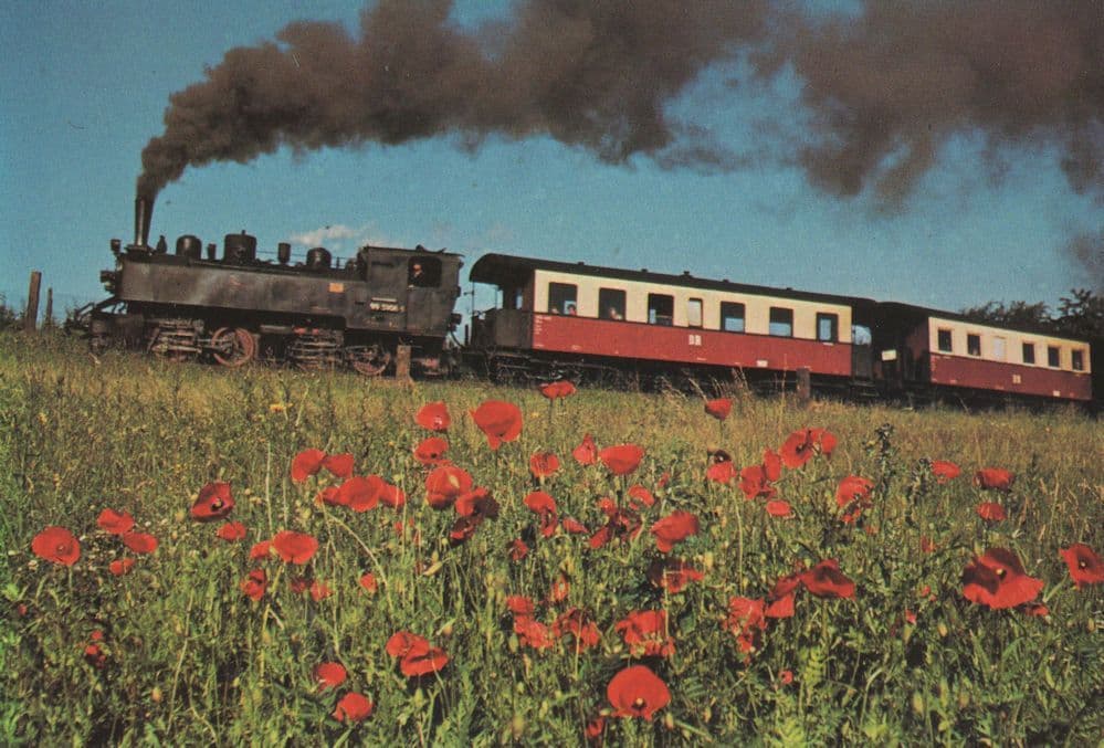 German Narrow Gauge 0-4-4 Mallet Built Selketalbahn Postcard