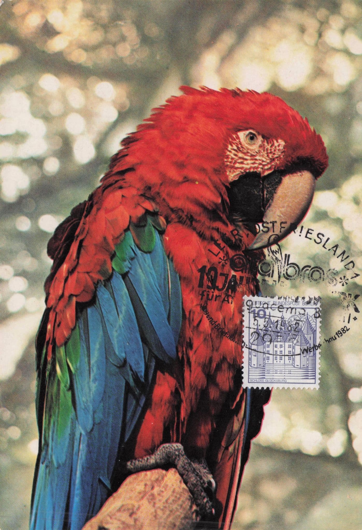 German Red Parrott Bird Grunflugel Arara Frankfurt Zoo FDC Postcard