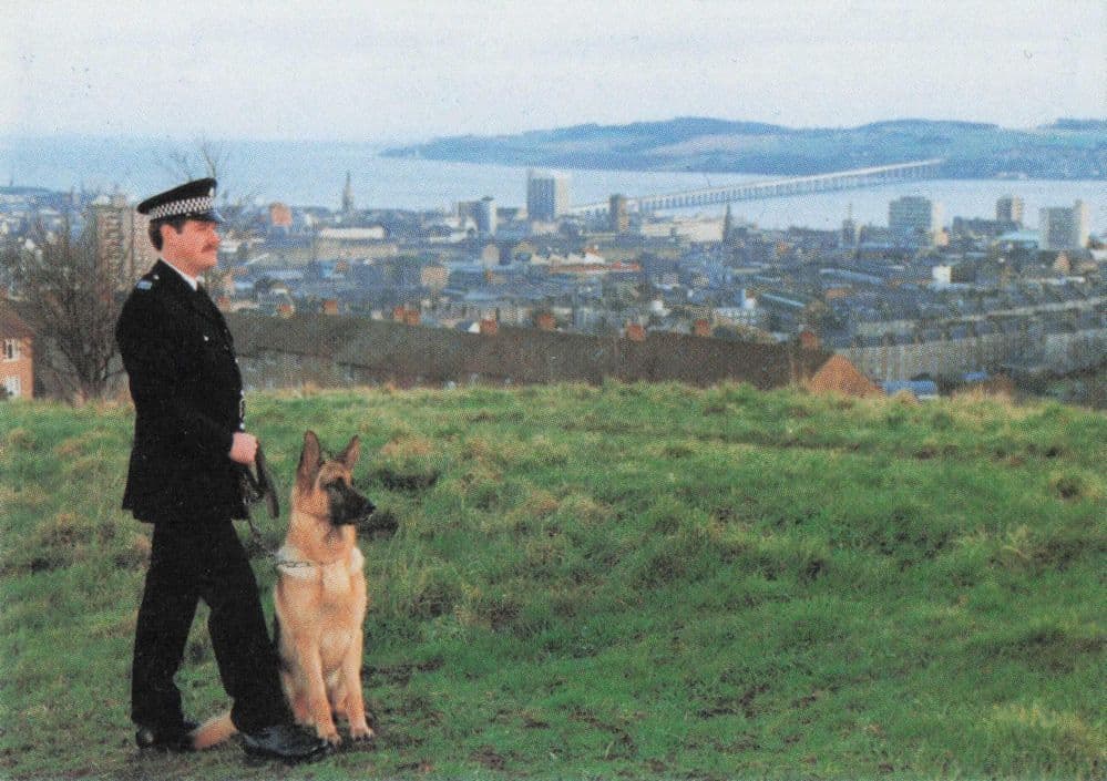 German Shepherd Dog & Tayside Police Bridge Scottish Telecom Trade Photo Card