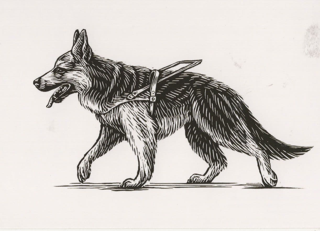 German Shepherd & Unique Lead Dog Painting Postcard