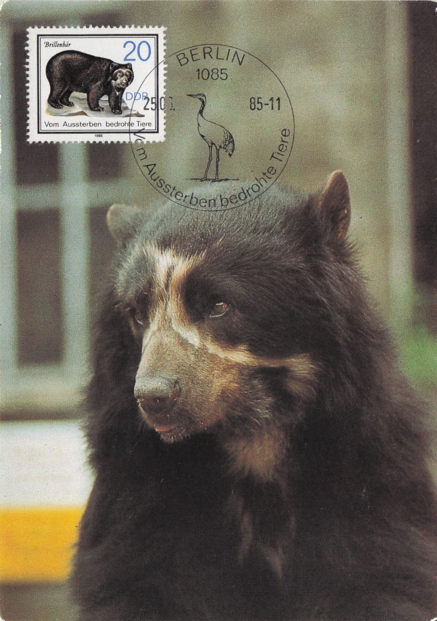 German Spectacled Andes Bear Brillenbar First Day Cover Postcard