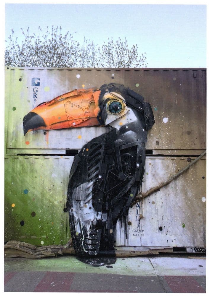 German Toucan Puffin Bird With Rotating Neck Street Wall Art Postcard