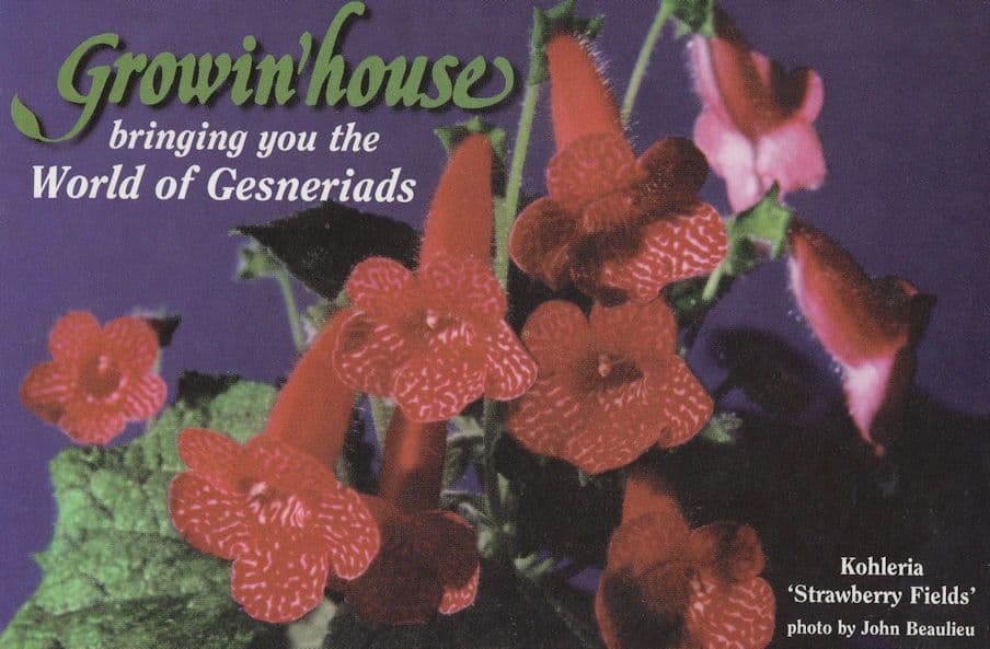 Gesneriads South African Flower Canadian Dealer Postcard
