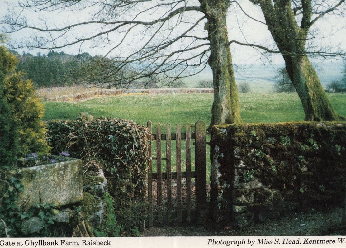 Ghyllbank Farm Raisbeck Cumbria Postcard