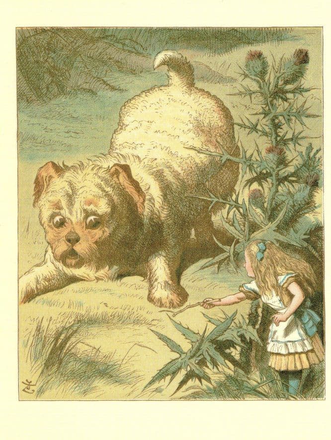 Giant Puppy Dog Alice In Wonderland Victorian Book Postcard