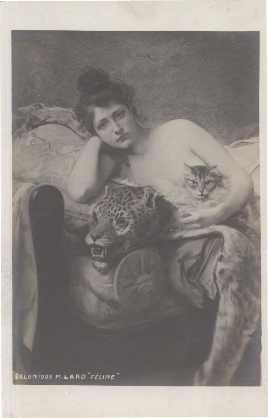 Glamour Sexy Lady Tabby Cat with Stuffed Tiger Head Taxidermy Postcard
