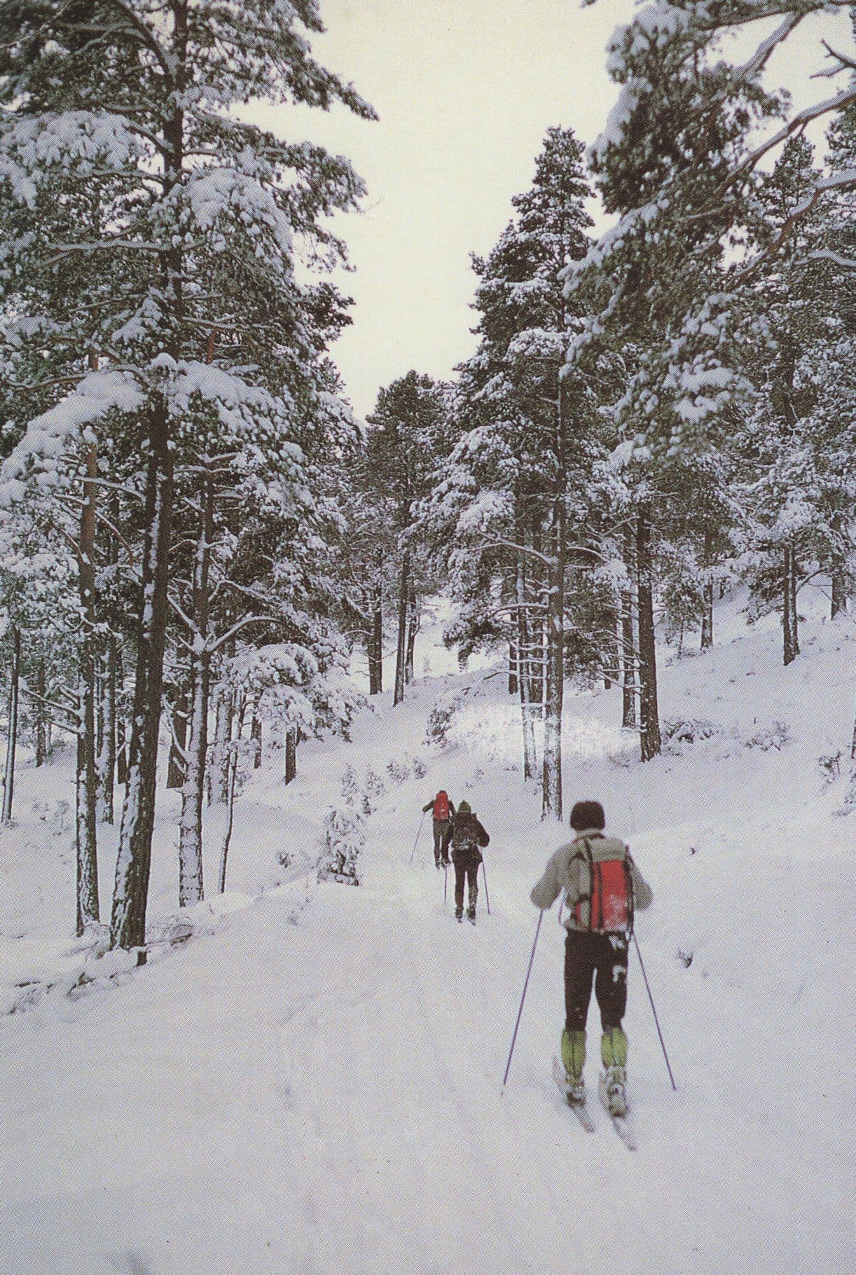 Glen Tanar Scottish Ski Slopes Skiing Postcard