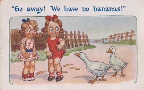 Go Away We Have No Bananas Fruit Birds Antique Ducks Geese Comic Humour Postcard