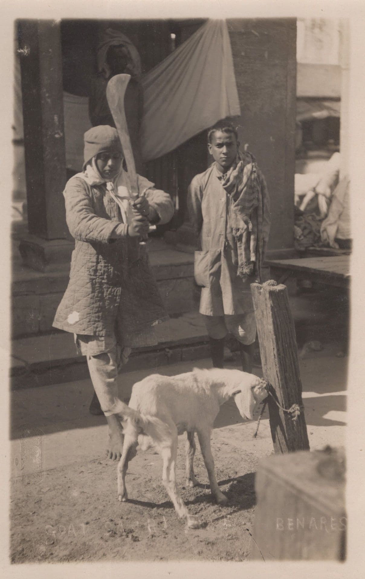 Goat Animal Sacrifice Butcher Benares Indian Antique Graphic Postcard