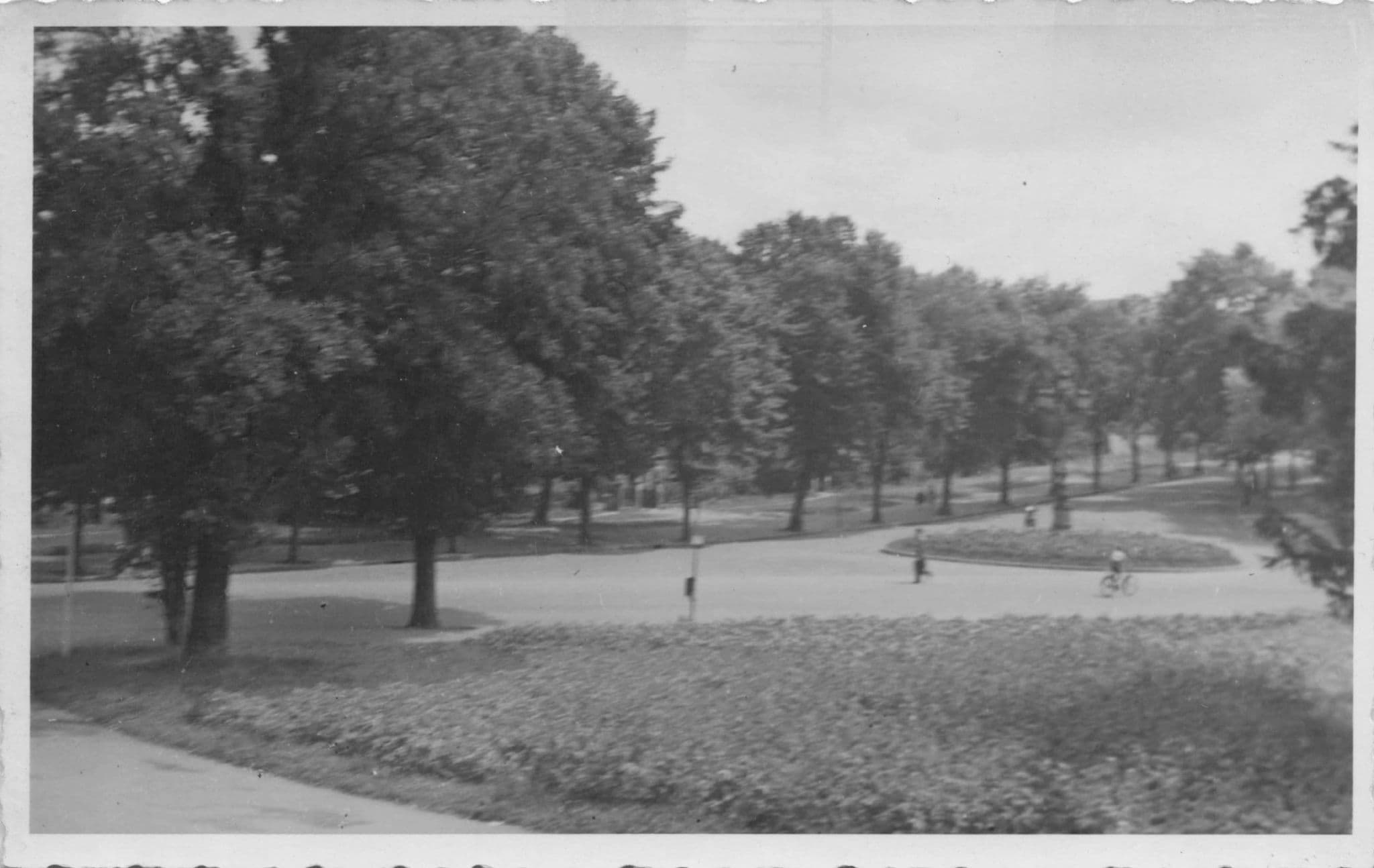 Gottingen Park Streets Woodland Road Rare German Real Photo Postcard