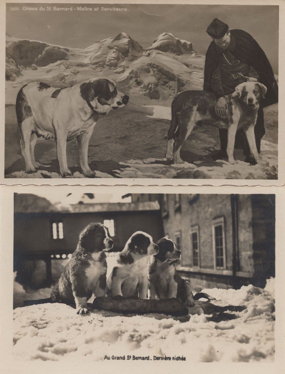 Grand St Bernard French 4x Hospice Old Dog Tunnel Postcard s