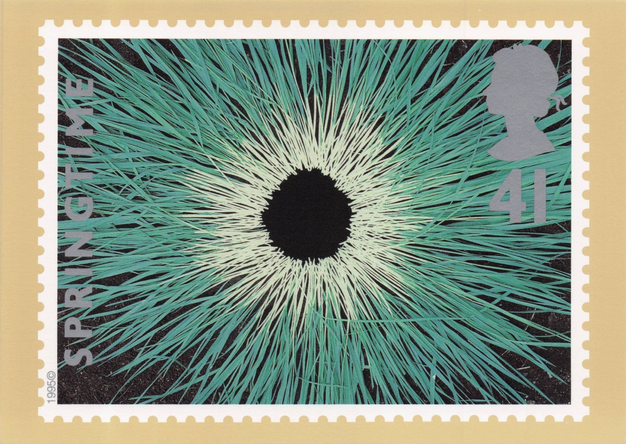 Grass Blades Kaleidoscope Royal Mail Amazing Stamp Ltd Edn Postcard