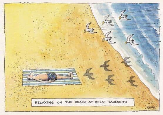 Great Yarmouth Birds About To Attack Man Comic Humour Postcard