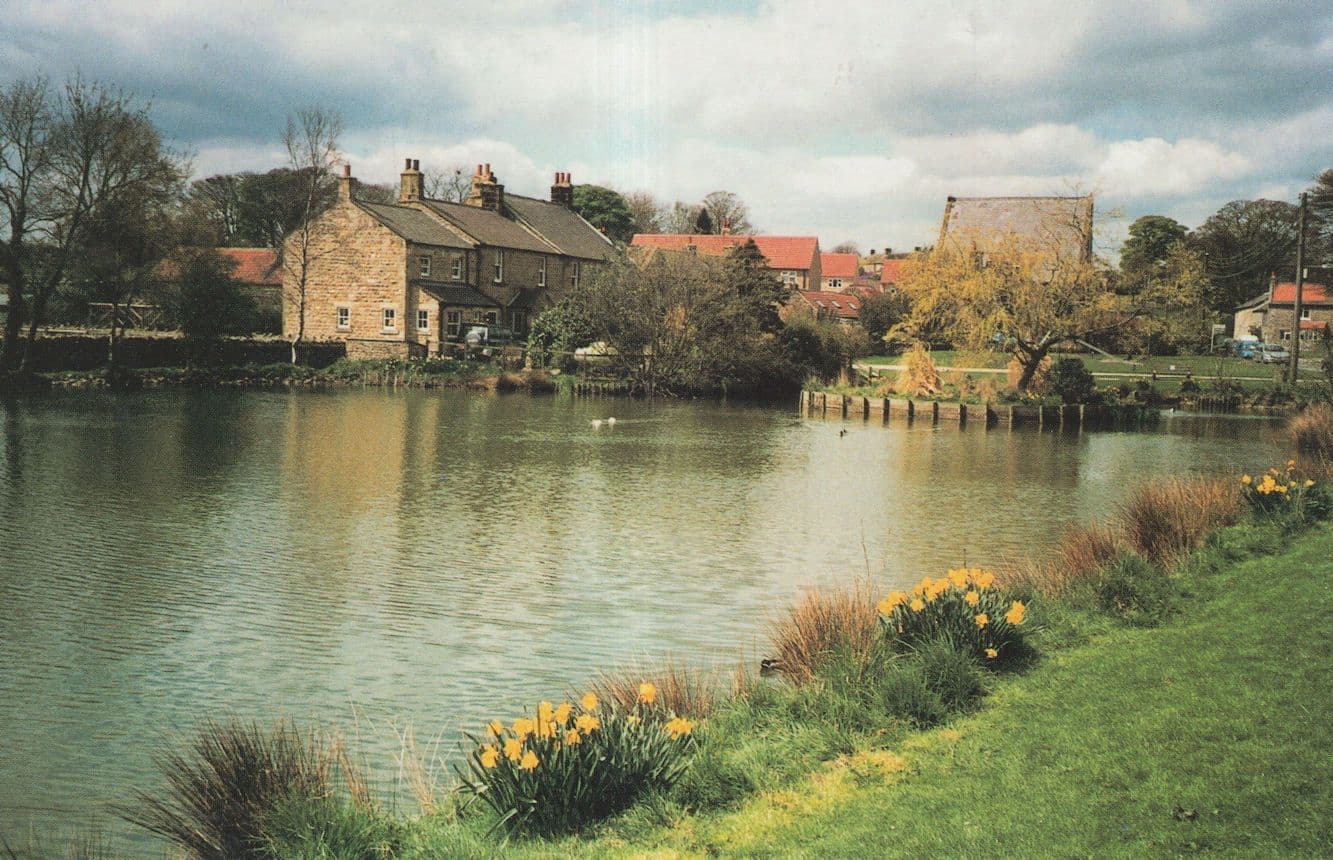 Grewelthorpe Pond River Yorkshire Postcard