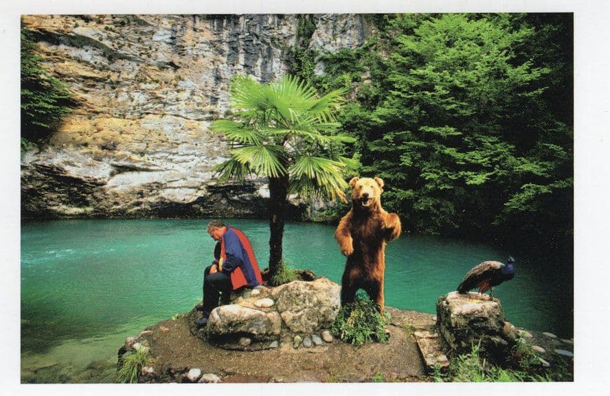 Grizzly Bear Tourist Photo Attraction Black Sea Award Photo Postcard