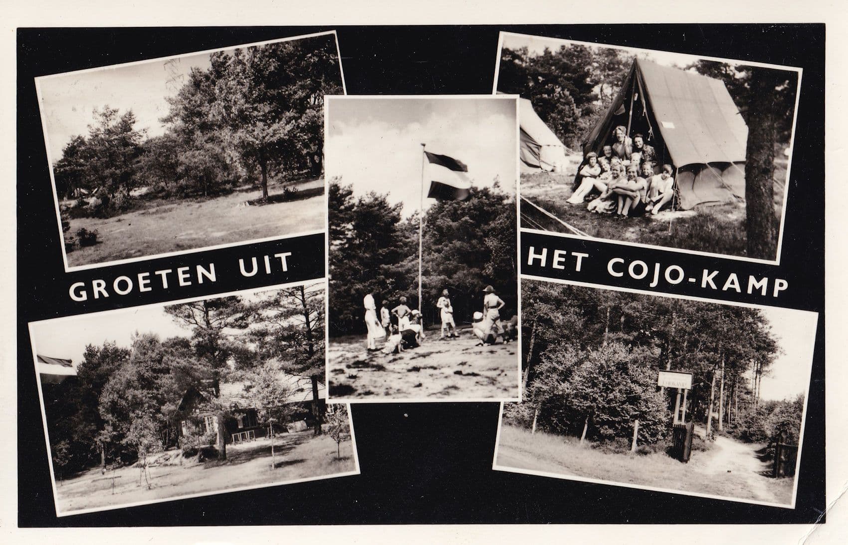 Groetun Uit Het Cojo Kamp 1950s Belgium Camping Postcard