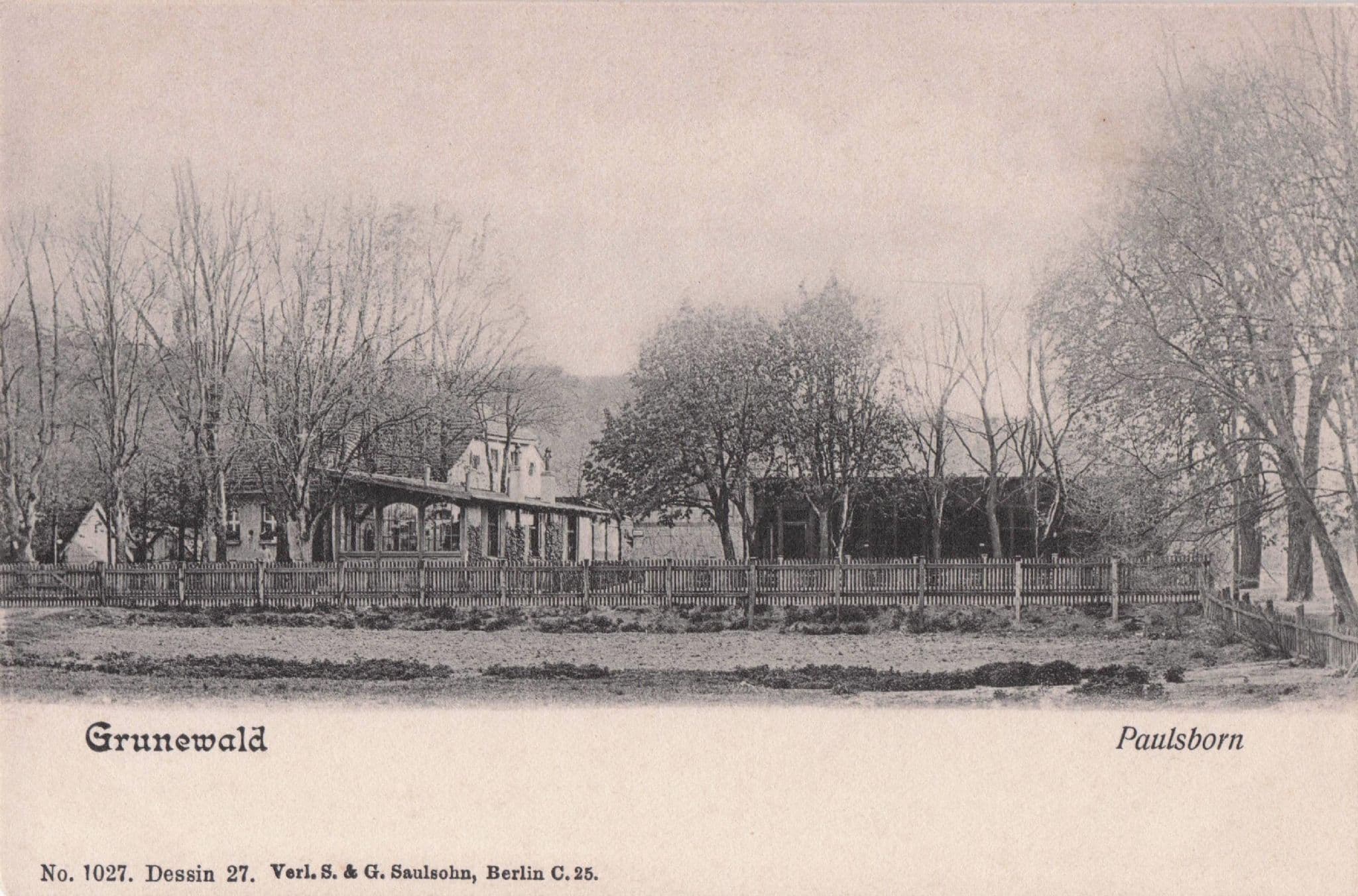 Grunewald Paulsborn Antique German Postcard