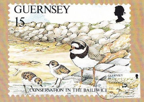 Guernsey Bird Photo Postcard Stamp First Day Cover L'Eree Nature Reserve