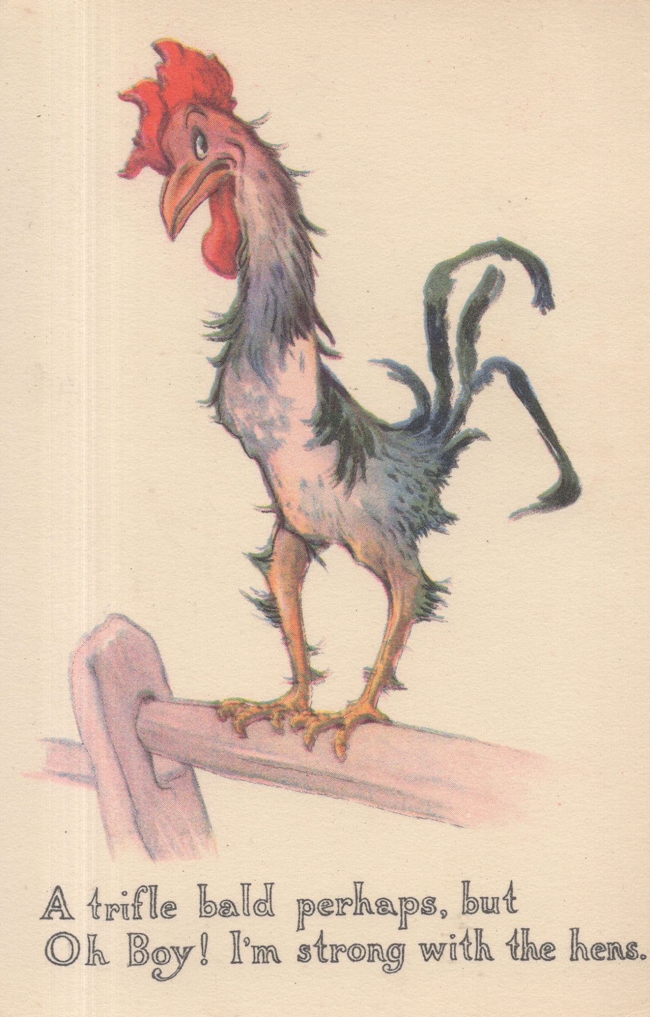 Haircut Starving Farm Bird Hen Antique Alpha Publishing Comic Postcard
