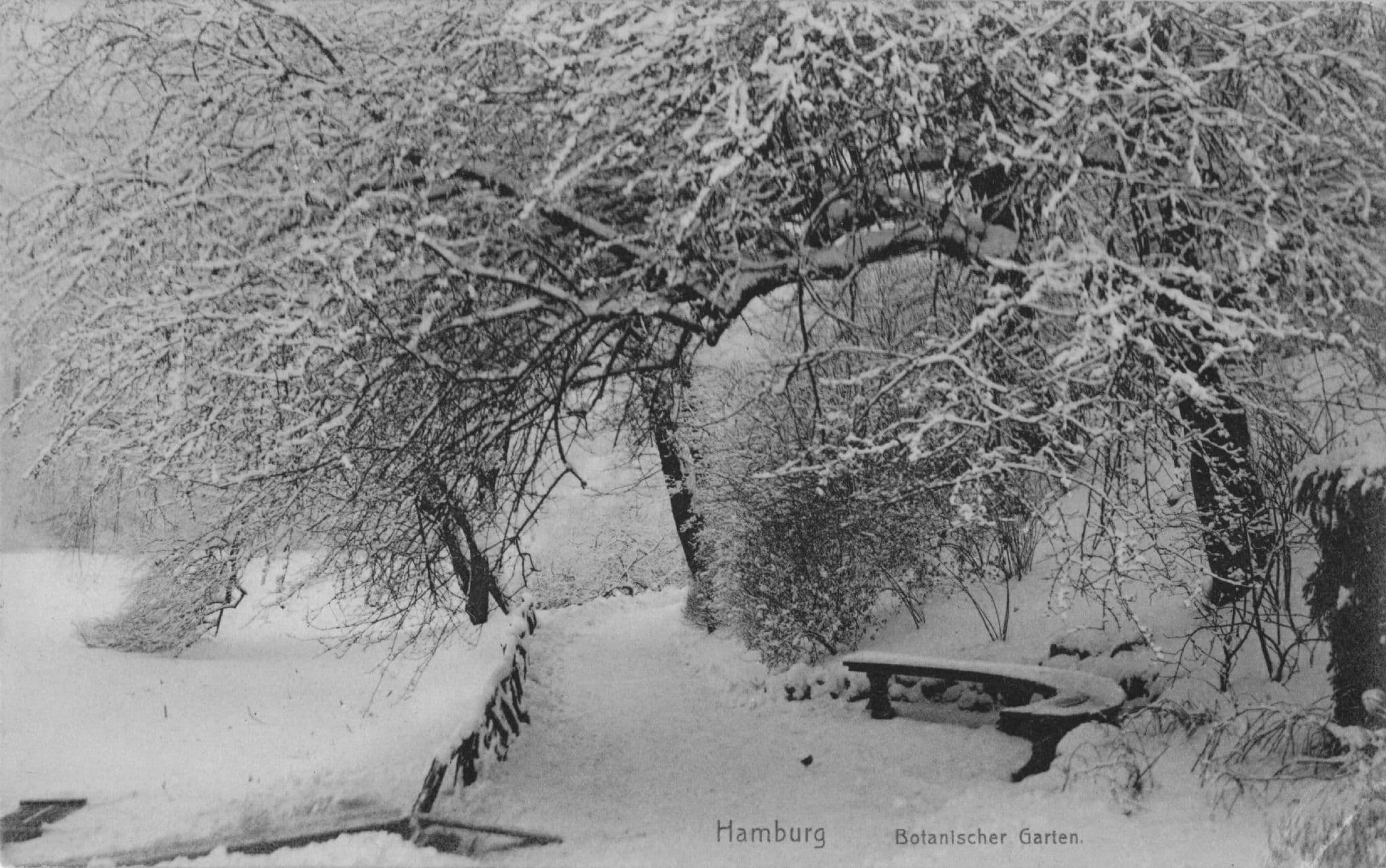 Hamburg Botanical Garden At Christmas Snow German Old Postcard