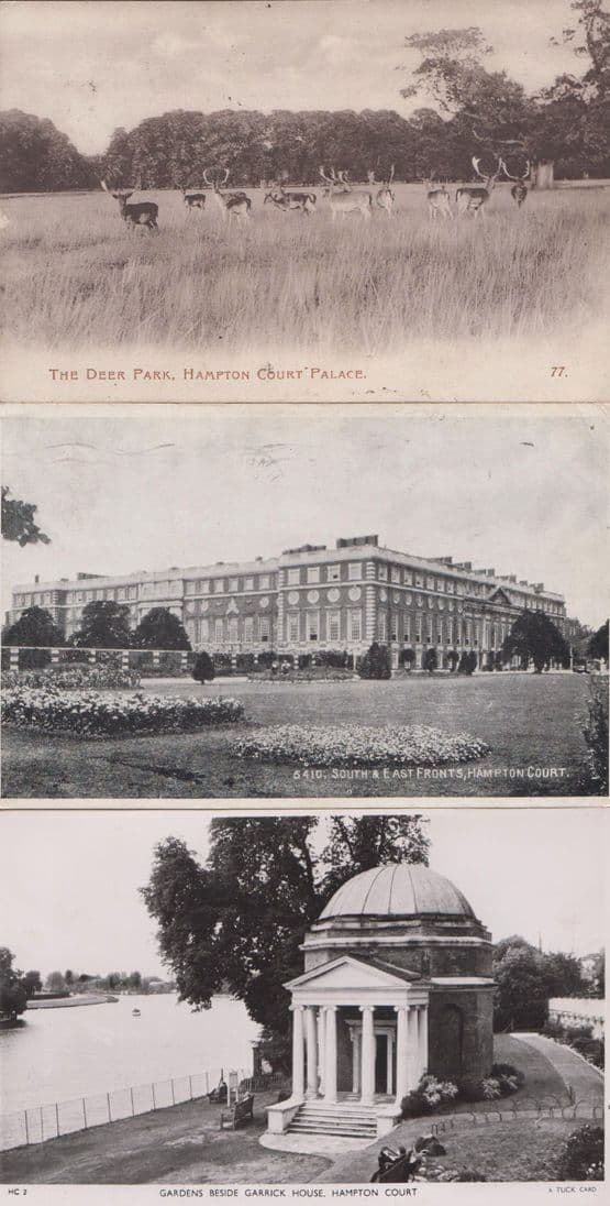 Hampton Court Palace Gardens South East Fronts WW2 Antler Deer Park 3x Postcard