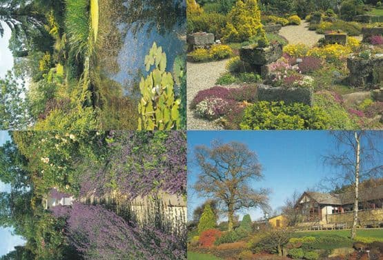 Harrogate Botanical Gardens 7x Postcard s