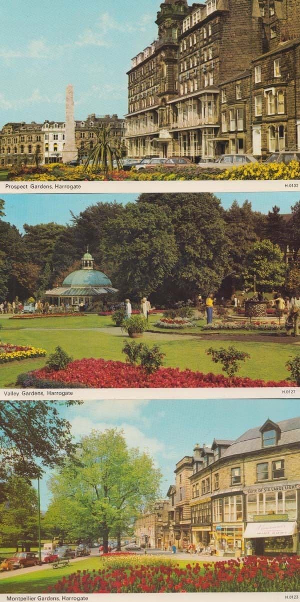 Harrogate Gardens Yorkshire 3x Mint Postcards incl Montpelier Valley + Prospect