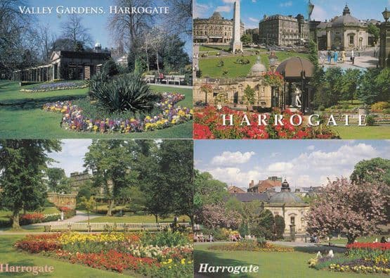 Harrogate Valley Gardens Bored Man On Park Bench 4x Postcard s