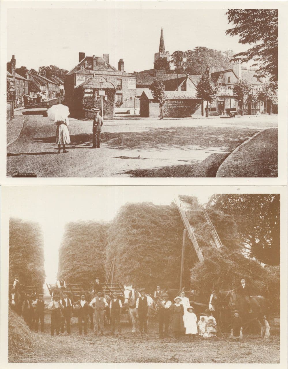 Harvest Harpesfield Hall Brewery Hill Herts 2x Hatfield Postcard s
