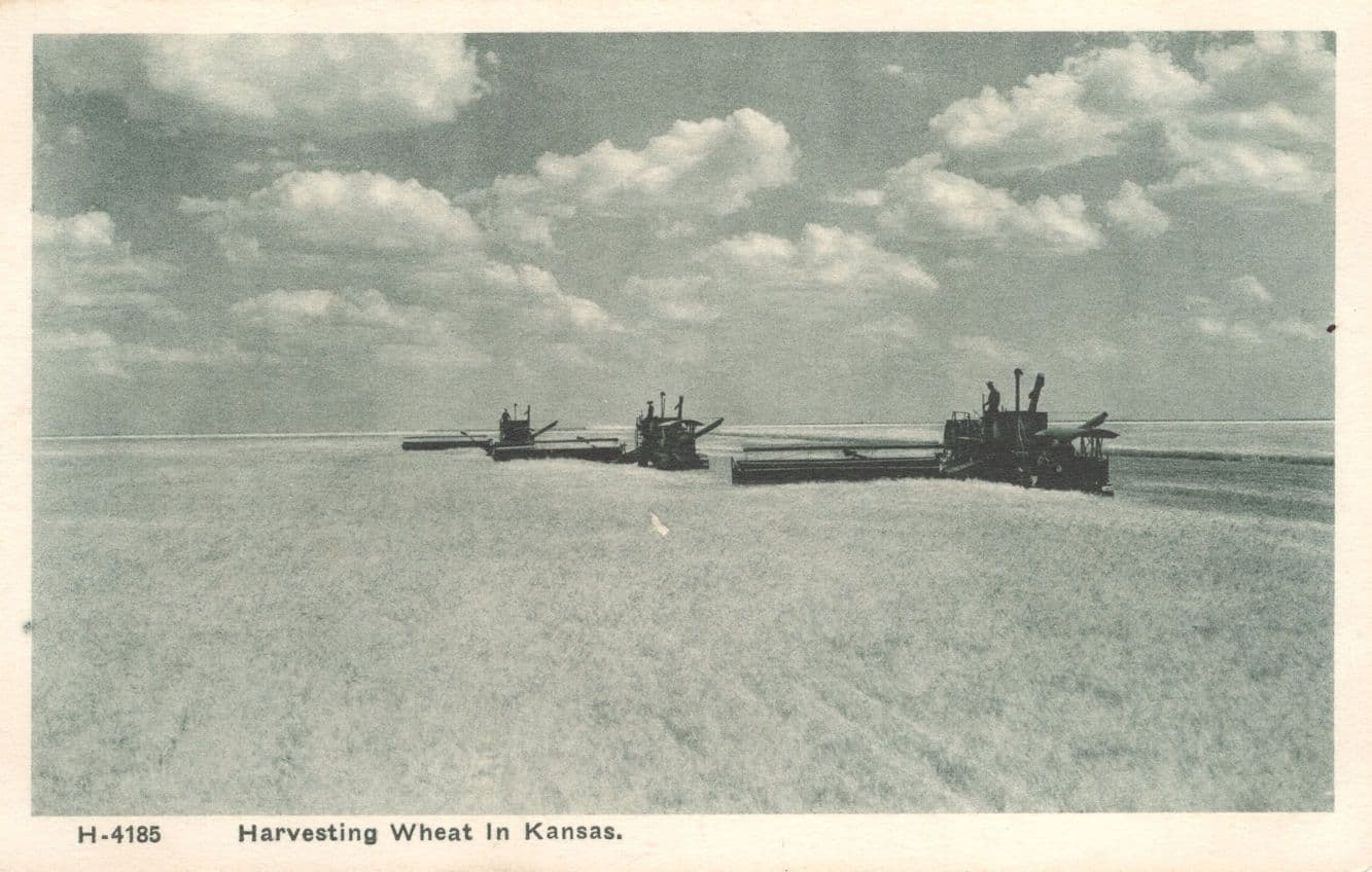 Harvesting Wheat in Kansas Farming USA Early B&W Rare Postcard