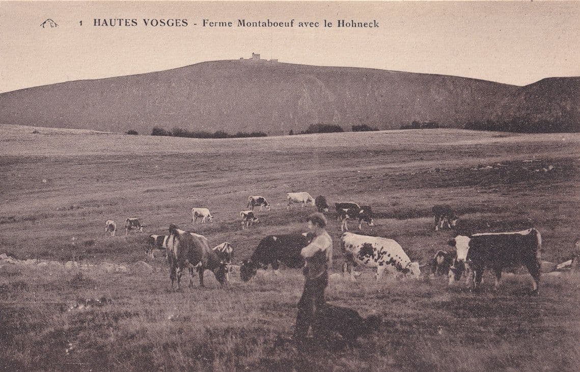 Hautes Vosges Ferme Mountain Farm French German Border Antique French Postcard