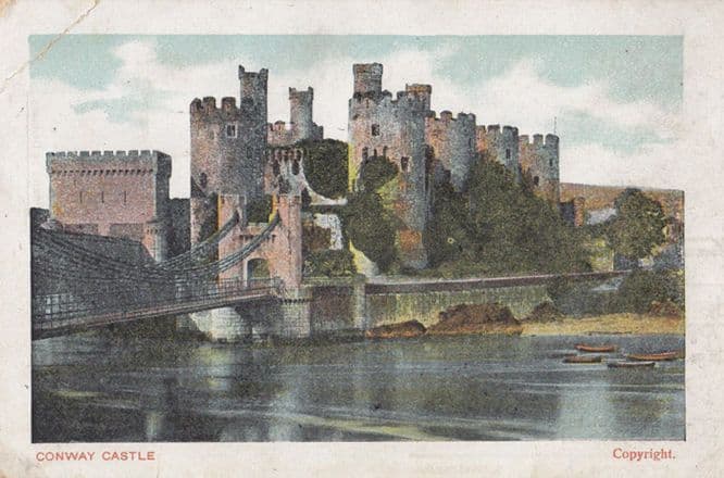 Haydock Coal in Castle Egremont Wallasey Brighton Seacombe Advertising Postcard
