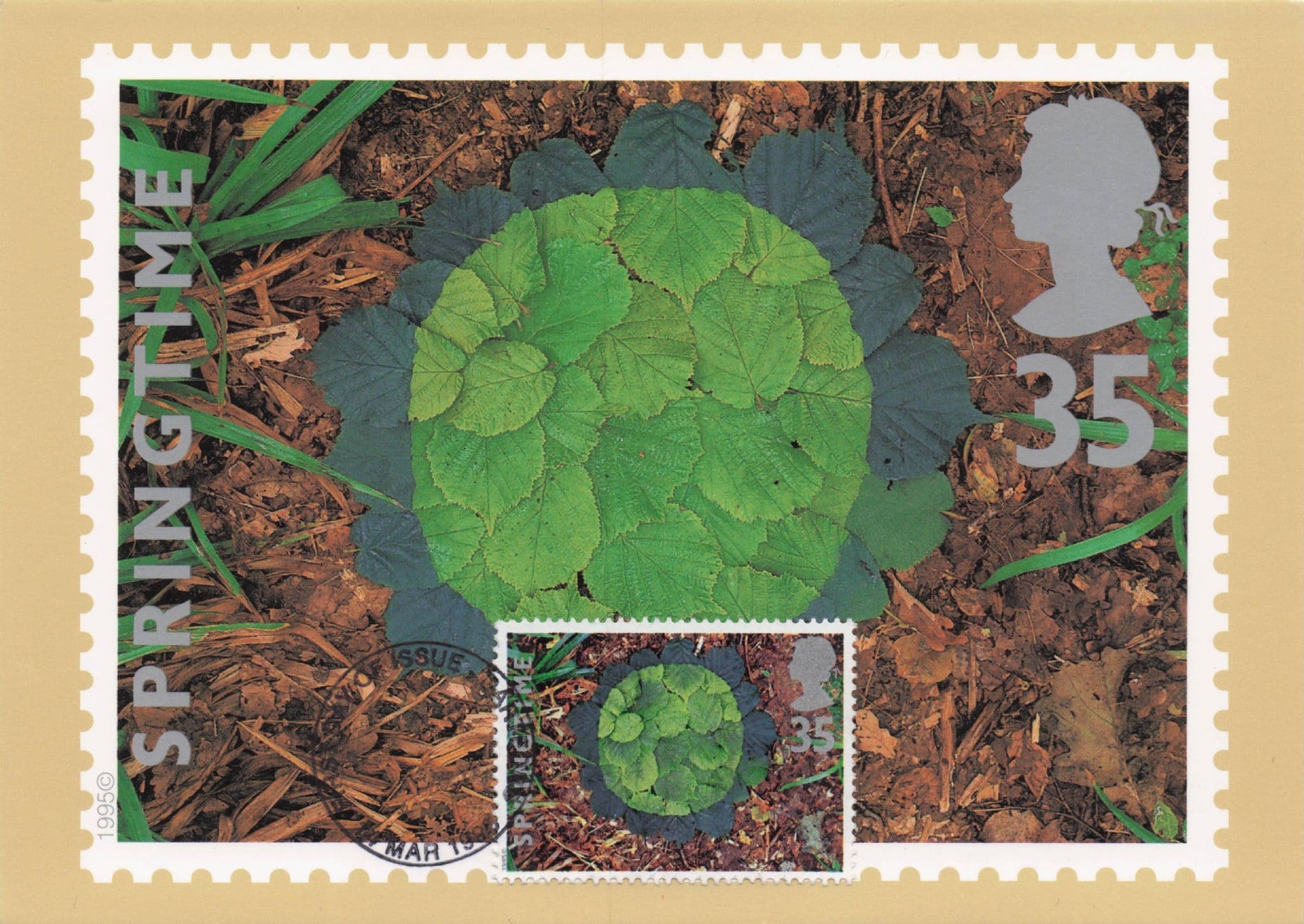 Hazel Leaves Tea Greens Floral Photo Art First Day Cover Postcard