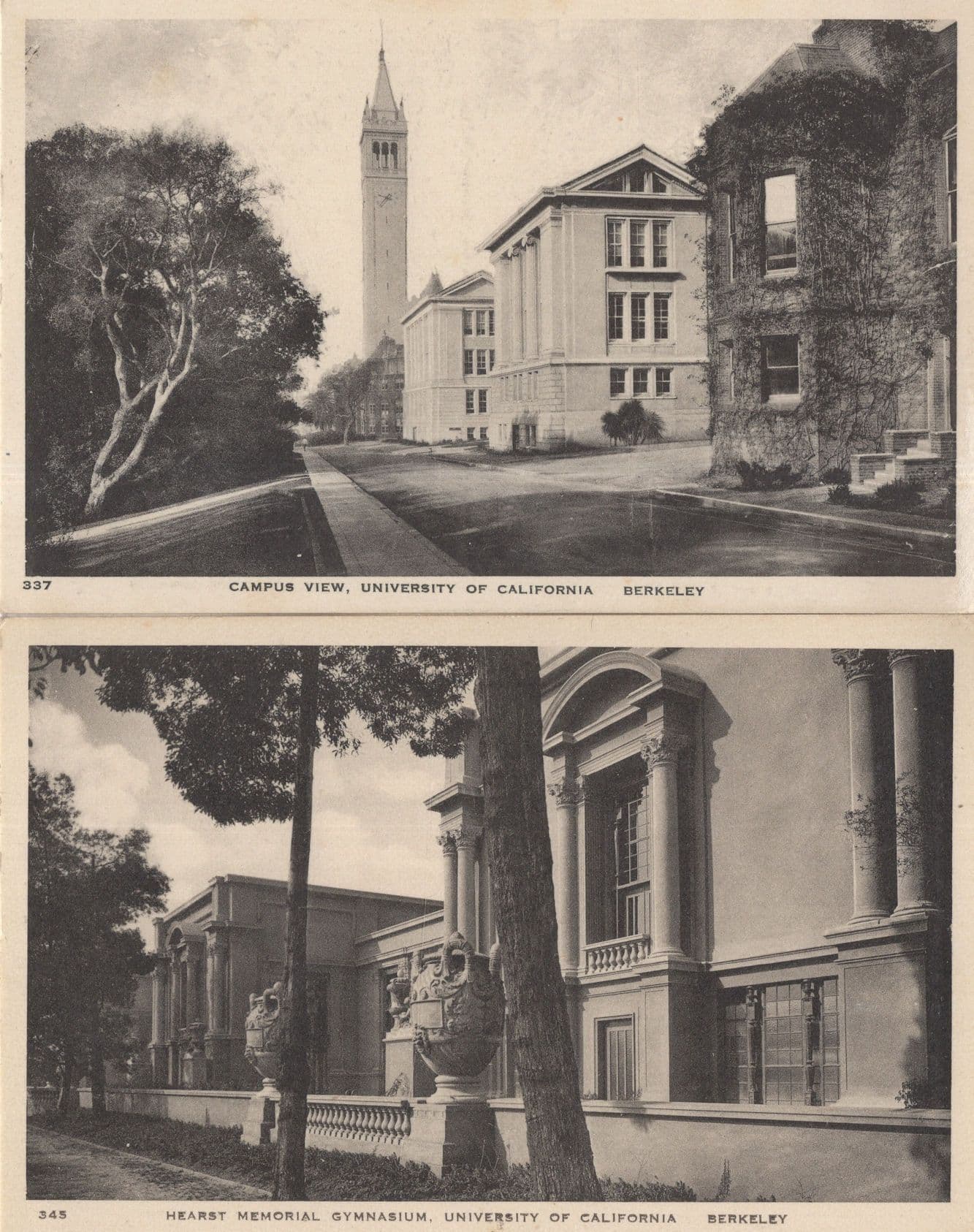 Hearst Memorial Gymnasium California University 2x Old Postcard s