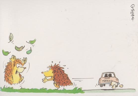 Hedgehog Just Married Wedding Comic Humour Postcard