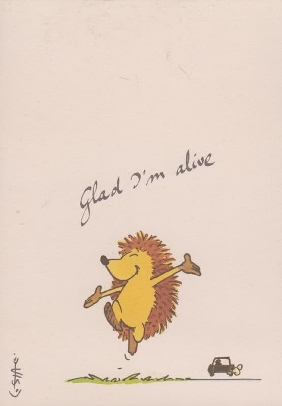 Hedgehog Survival Glad I'm Alive Comic Humour Postcard