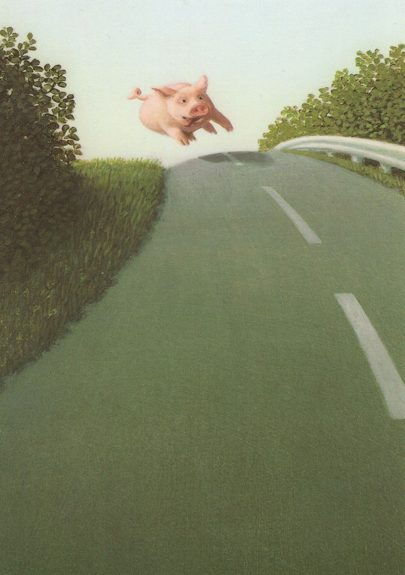 Heinz Obein Autobahnsau German Flying Pig on Autobahn Painting Postcard