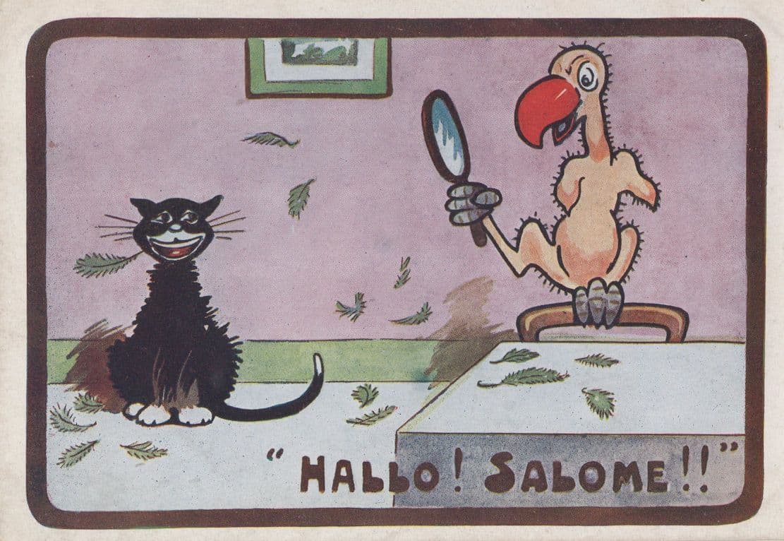 Hello Salome Bird Grooming In Mirror Cat Cats Old Katchy Comic Postcard