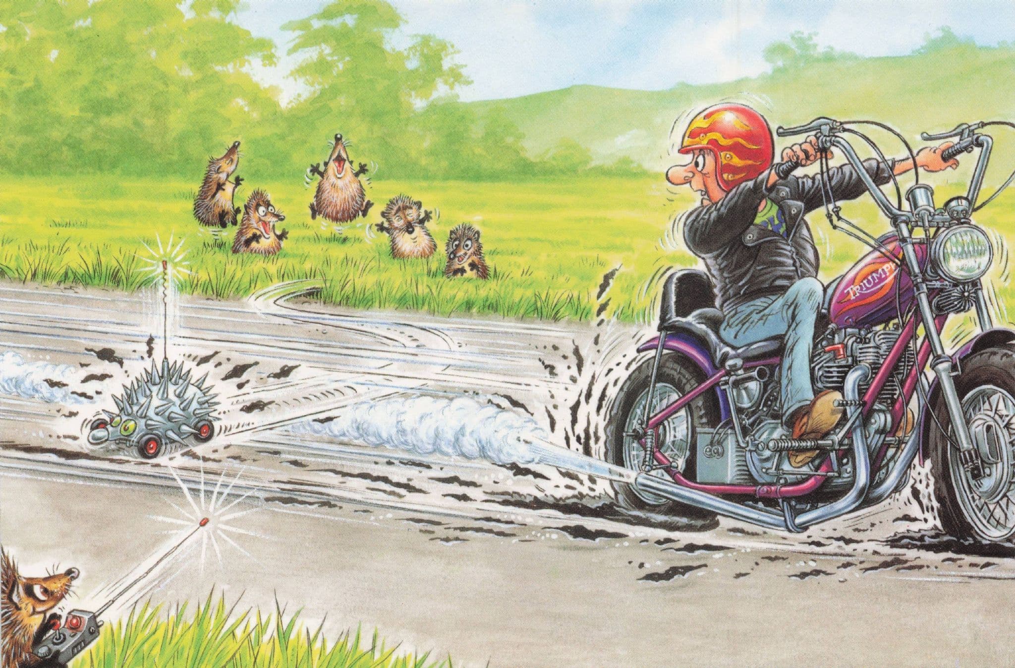 Hells Angels Motorcyclist vs Hedgehog Party Run Over Comic Postcard