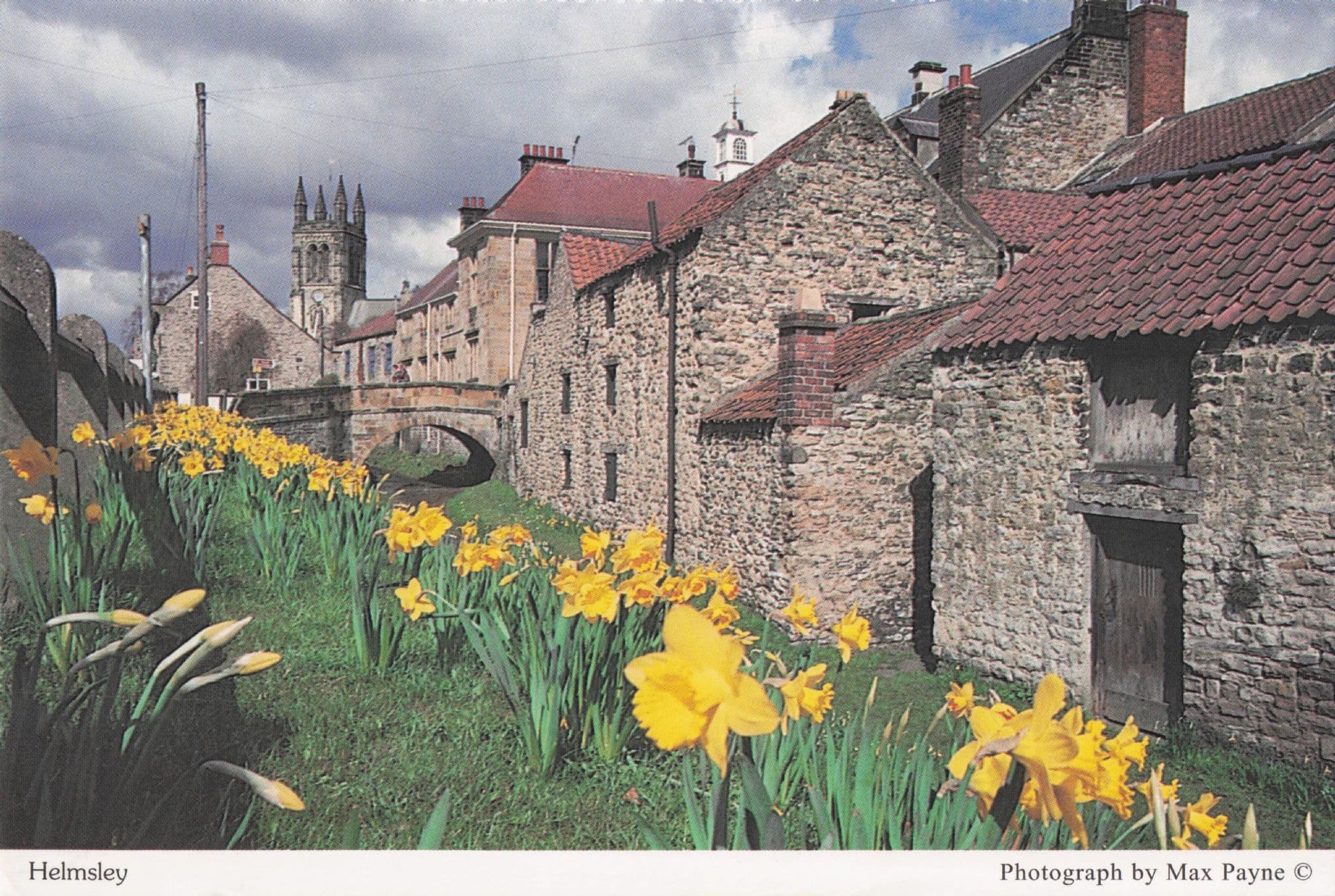 Helmsley Cottages Flowers Scarborough Yorkshire Vintage Postcard
